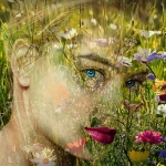 Manhattan meadow
